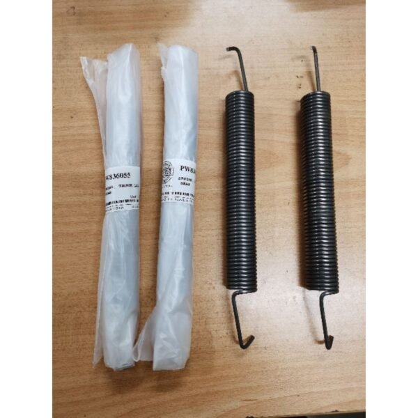 G-3874-BLM-95582 Spring Belakang — Proton Saga (OEM)