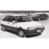 Kabel Palam (1988–1992) · PCF-ASTINA